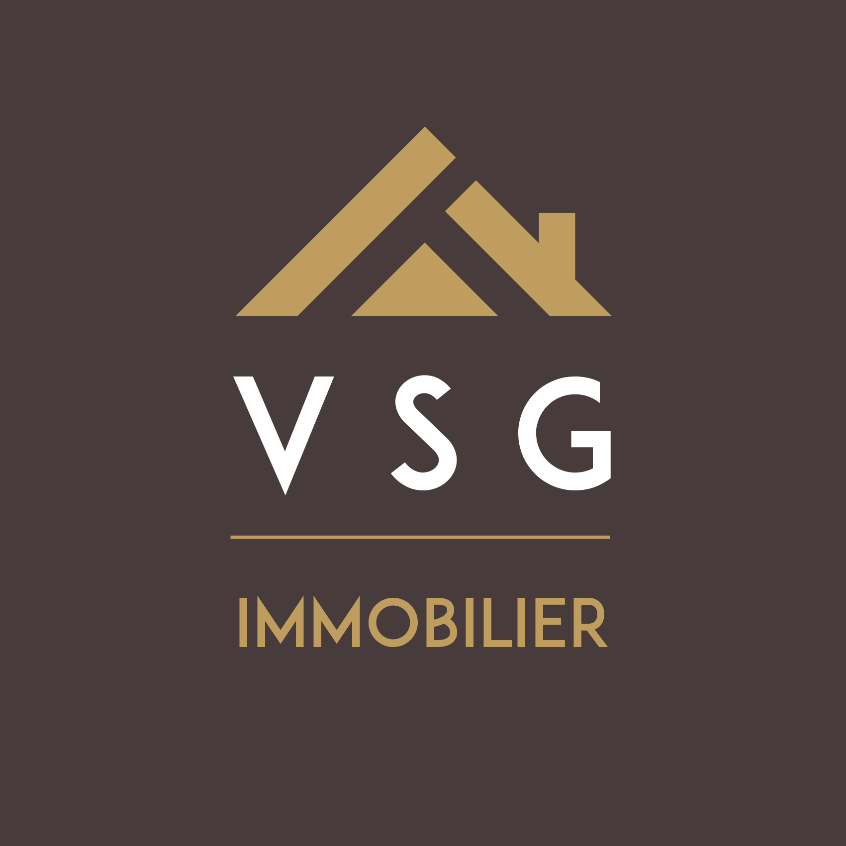 VSG Immobilier